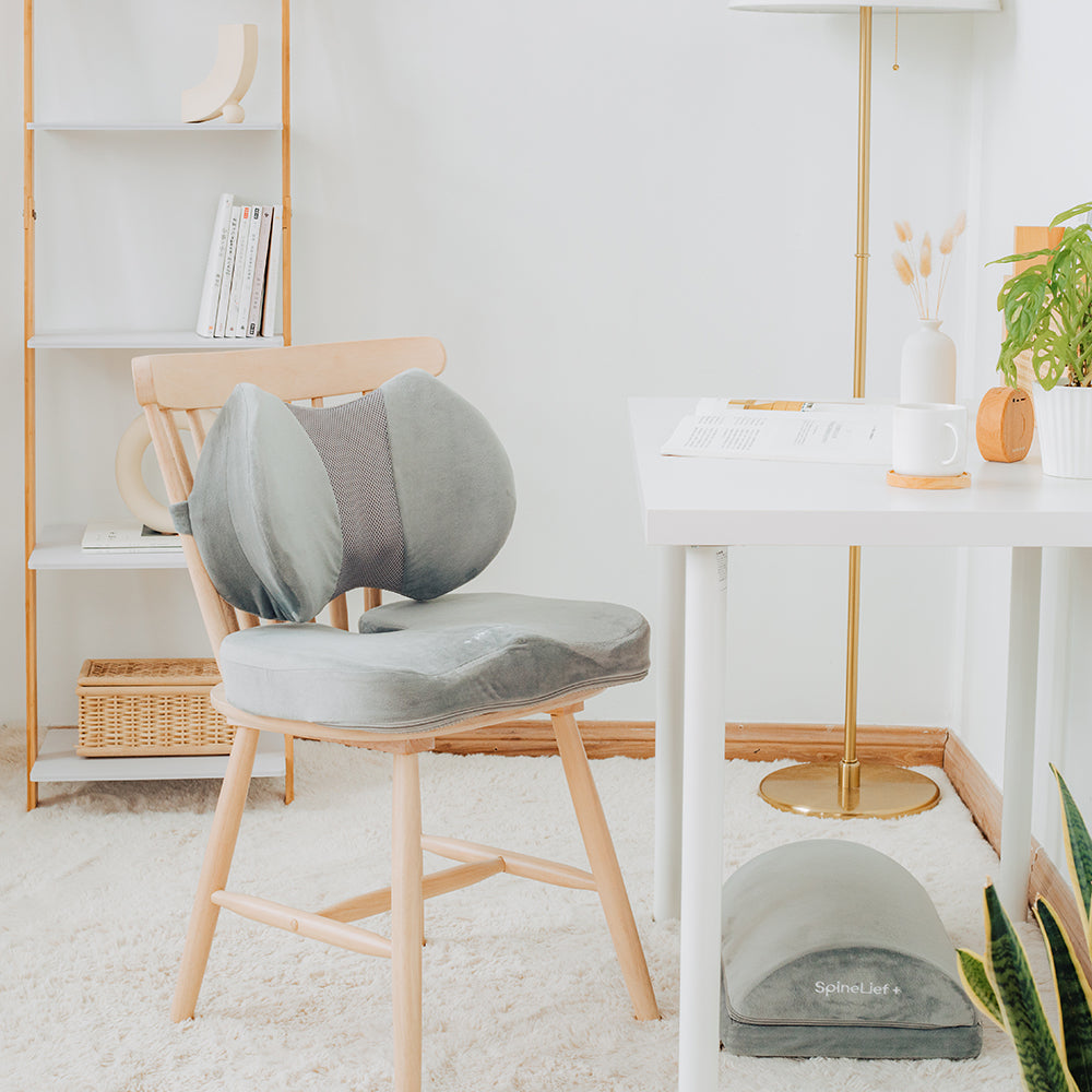 Ultimate Maintenance Kit SpineLief+